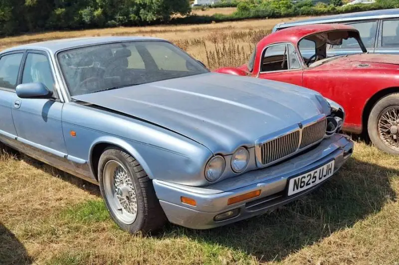 Restoration or spares donors